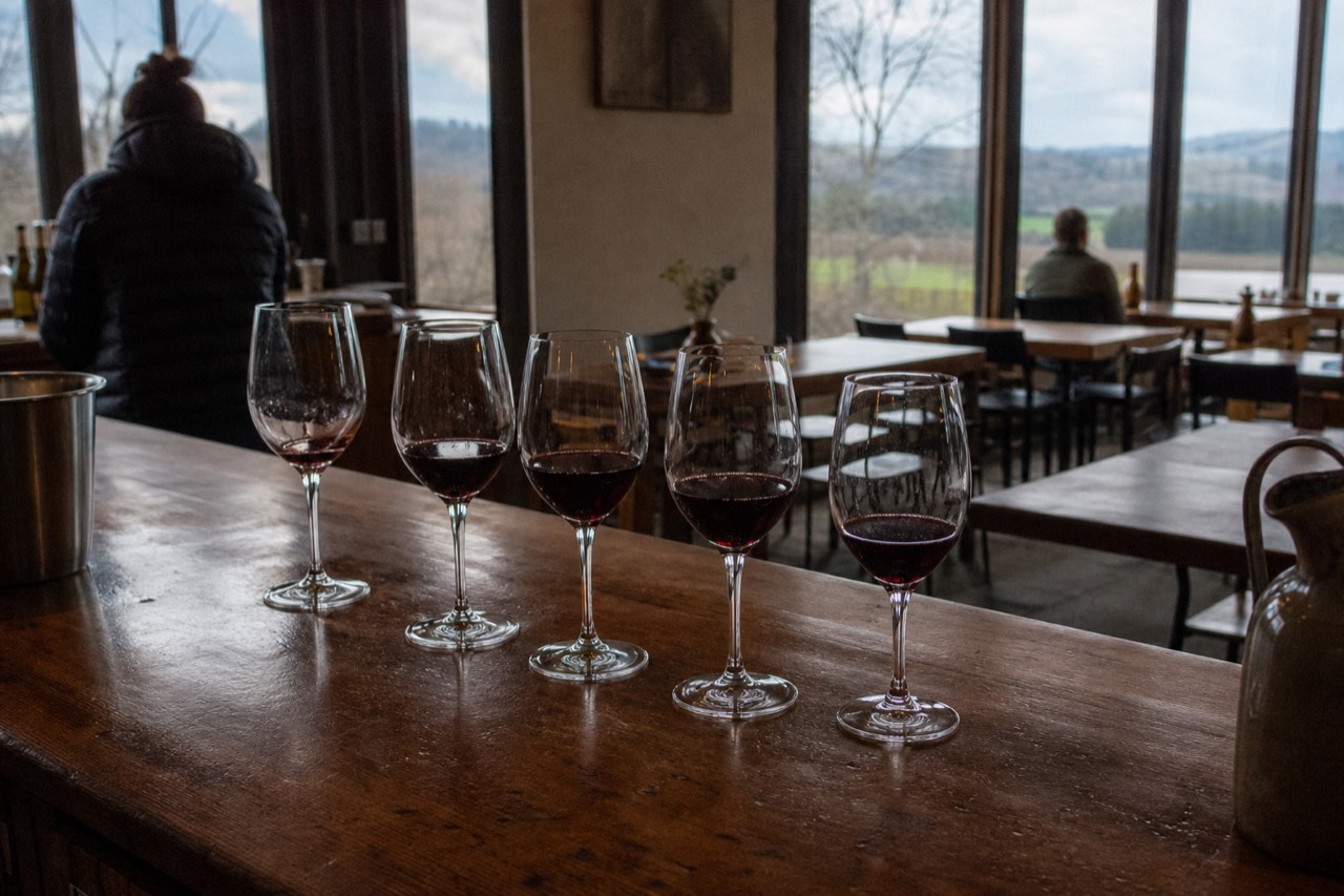 A quiet Willamette Valley tasting room bar with glasses of red wine lined up