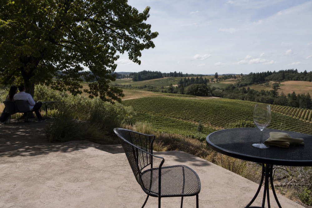 A vineyard tasting room patio overlooking rows of grapevines