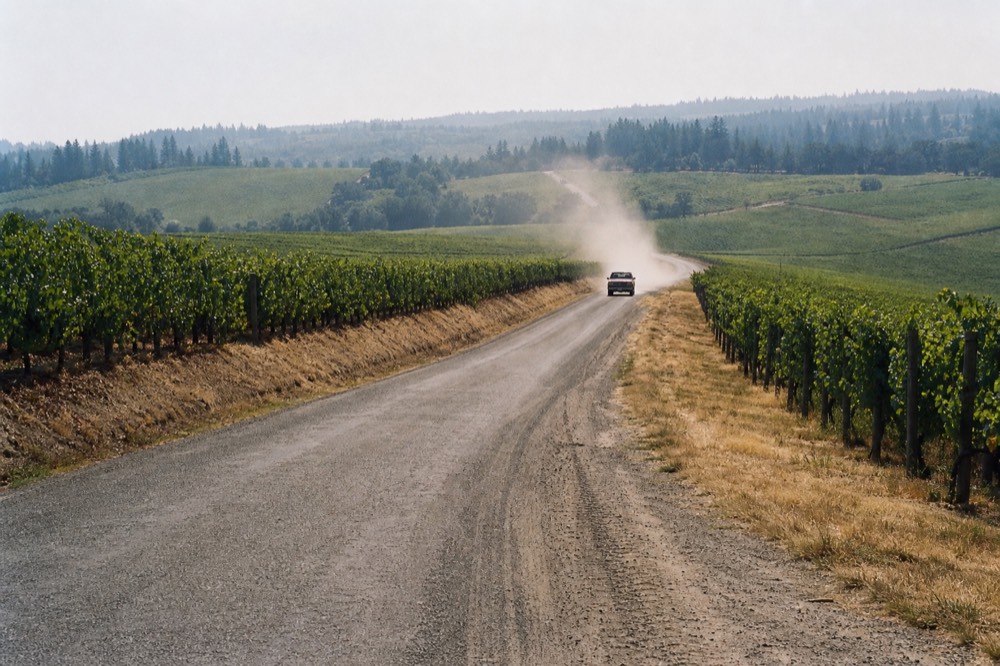 A country road winding through rolling vineyard hills at midday