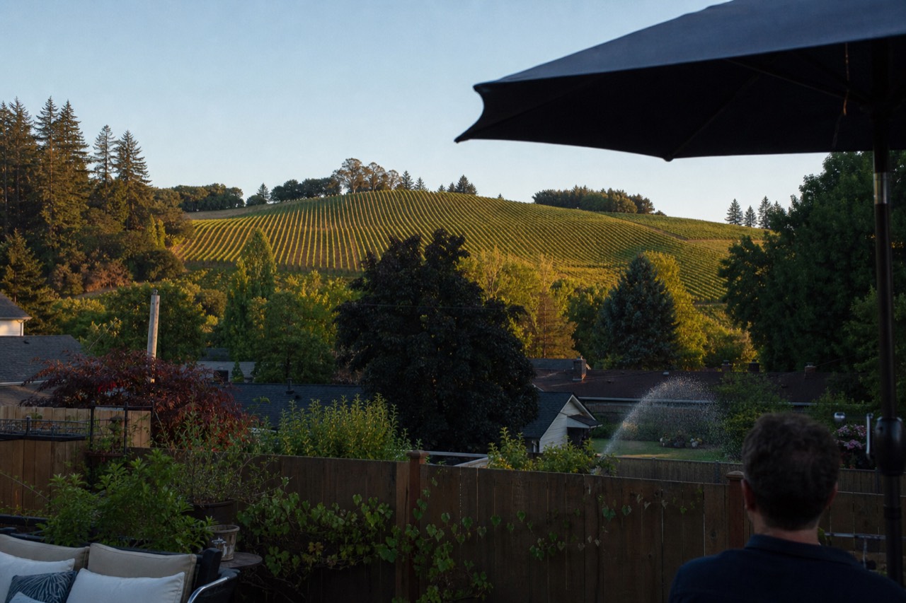 Vineyard-covered hills rising behind the small town of McMinnville Oregon