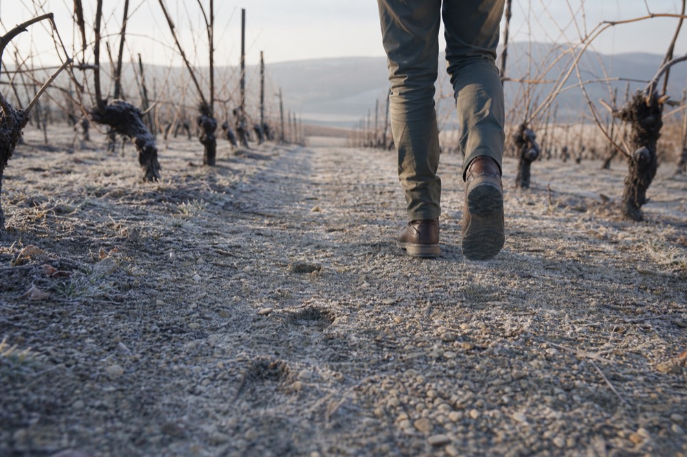 Comfortable ankle boots on a gravel path between vineyard rows