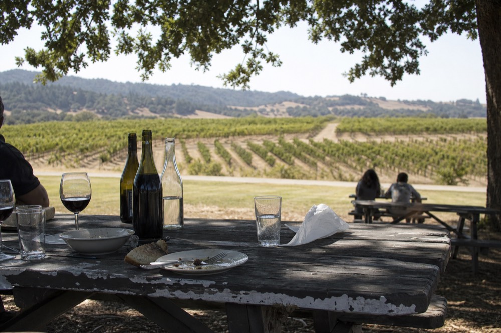A shaded picnic table set with a winery lunch overlooking vineyard rows