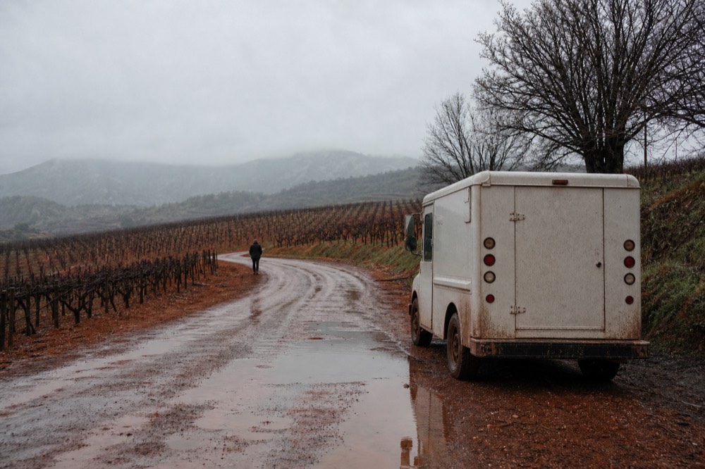 A country road winding between vineyards in the Dundee Hills