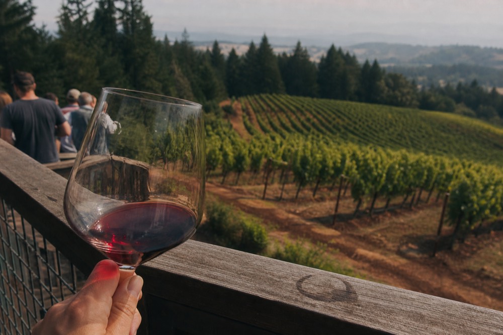 A glass of Pinot Noir held up against a Dundee Hills vineyard backdrop