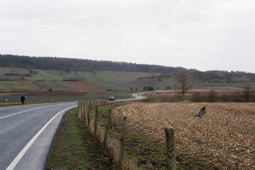 Highway curving through farmland with vineyard rows on the hills beyond
