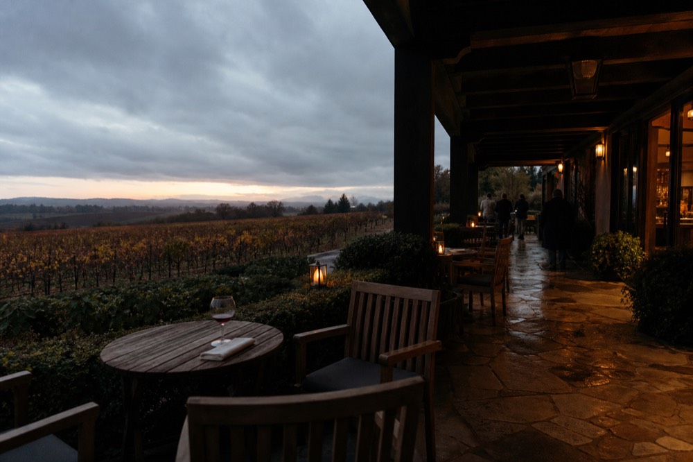 A modern lodge-style hotel terrace overlooking vineyards at dusk