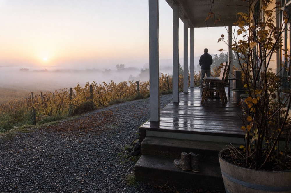 A guesthouse porch at sunrise with fog over neighboring vineyards