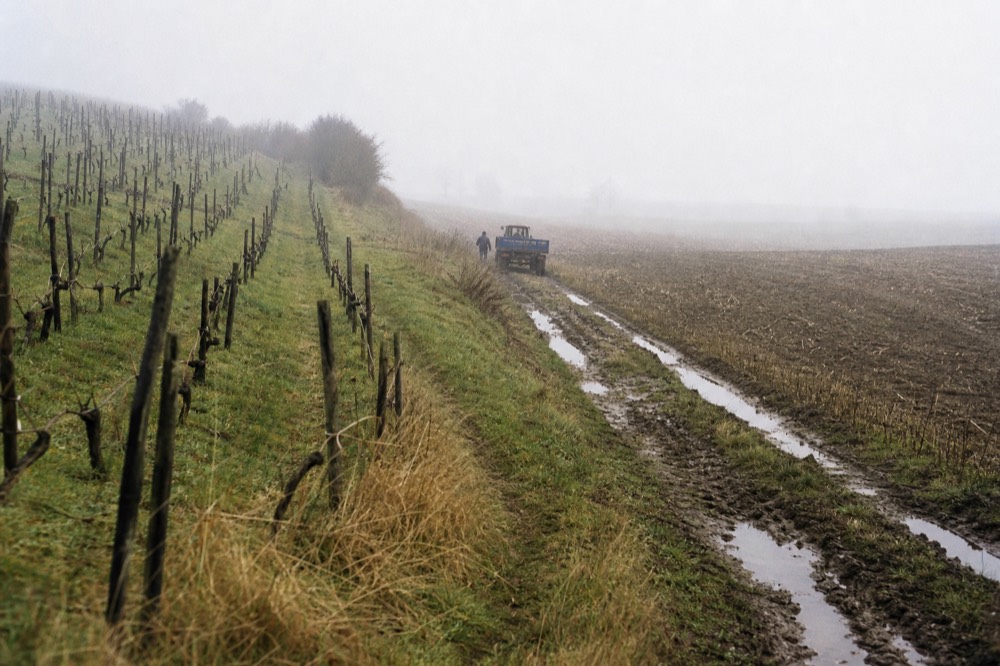A narrow ridge of vineyards rising above farmland in northern Willamette Valley wine country